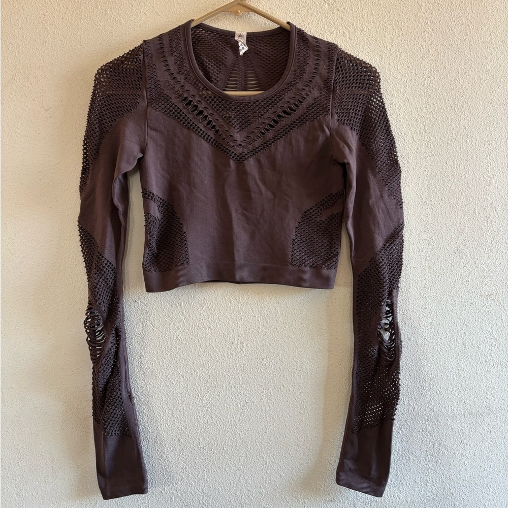 ALO Yoga Brown Mesh Crop Top